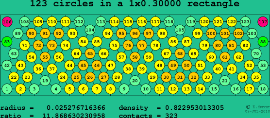 123 circles in a rectangle