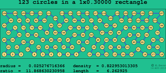 123 circles in a rectangle