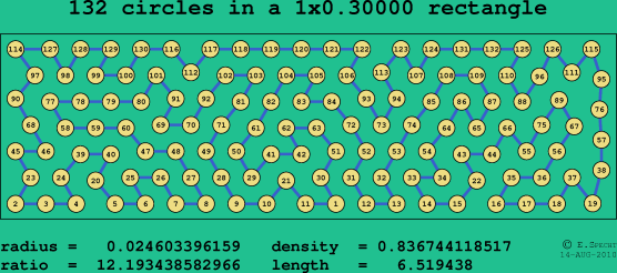 132 circles in a rectangle