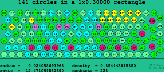 141 circles in a rectangle