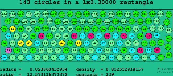 143 circles in a rectangle