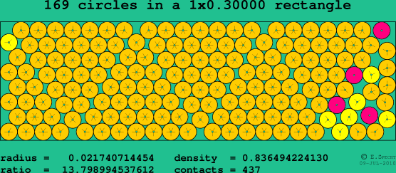 169 circles in a rectangle
