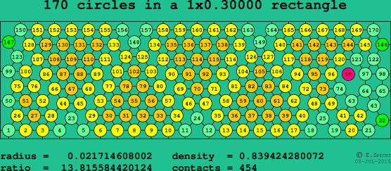 170 circles in a rectangle
