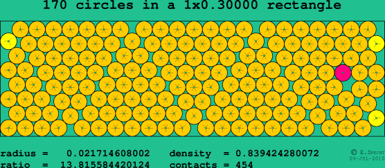170 circles in a rectangle