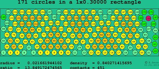 171 circles in a rectangle