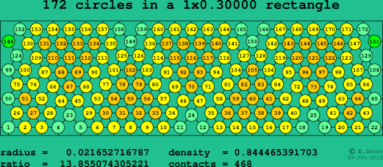 172 circles in a rectangle
