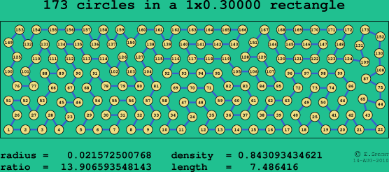173 circles in a rectangle
