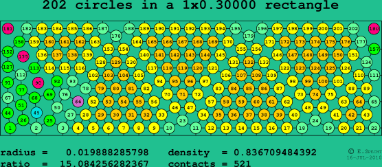 202 circles in a rectangle