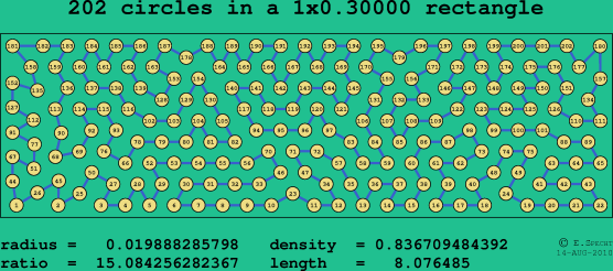 202 circles in a rectangle
