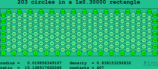 203 circles in a rectangle