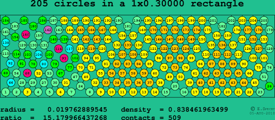 205 circles in a rectangle