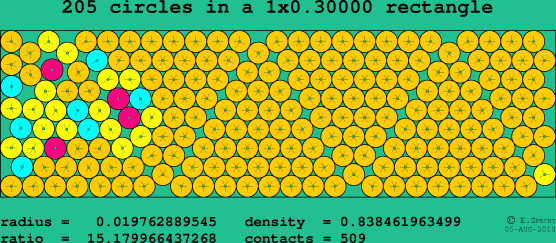 205 circles in a rectangle