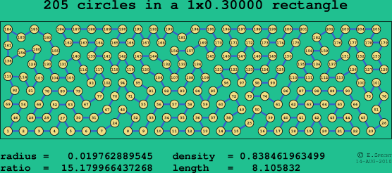 205 circles in a rectangle