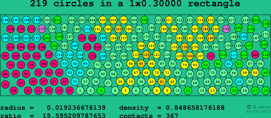 219 circles in a rectangle