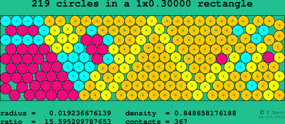 219 circles in a rectangle