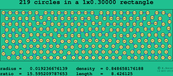 219 circles in a rectangle
