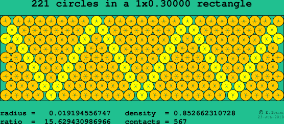 221 circles in a rectangle