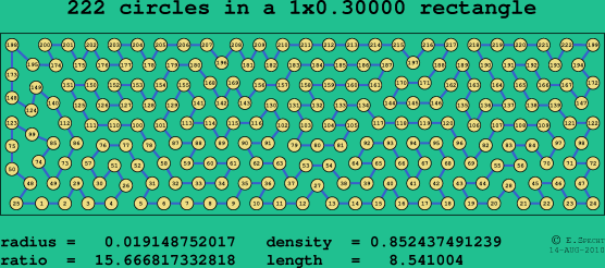 222 circles in a rectangle