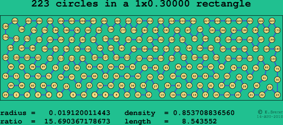 223 circles in a rectangle