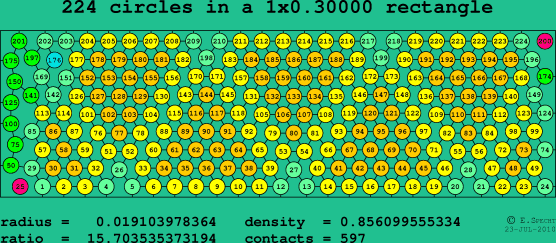 224 circles in a rectangle