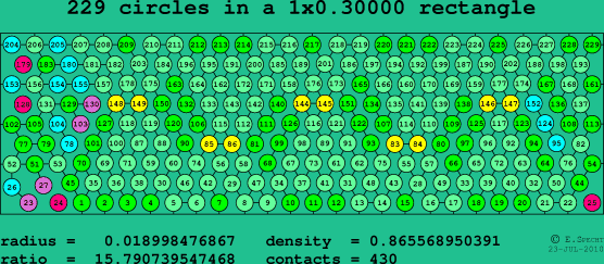 229 circles in a rectangle
