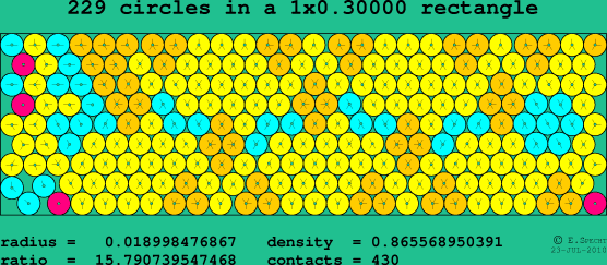 229 circles in a rectangle