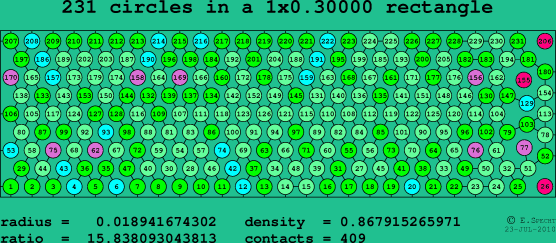 231 circles in a rectangle