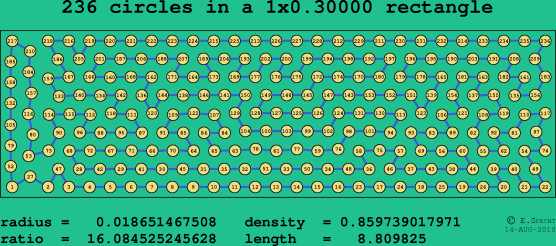 236 circles in a rectangle