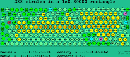 238 circles in a rectangle