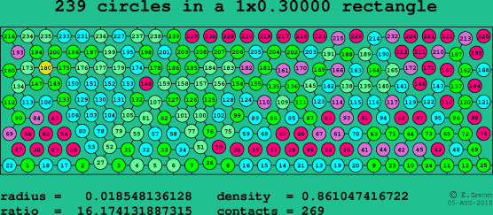 239 circles in a rectangle