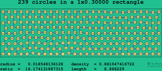 239 circles in a rectangle