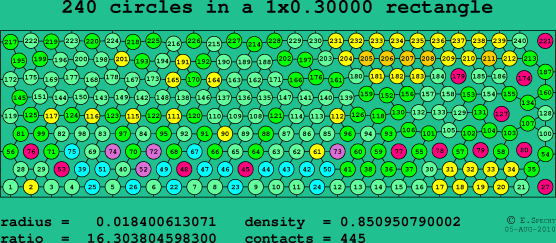 240 circles in a rectangle