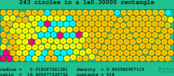 243 circles in a rectangle