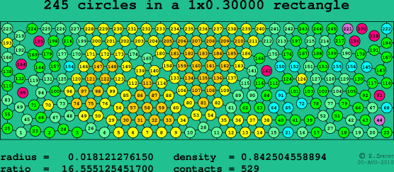 245 circles in a rectangle