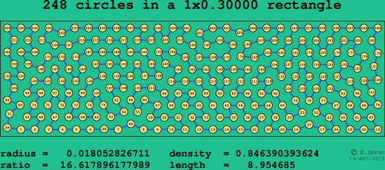 248 circles in a rectangle