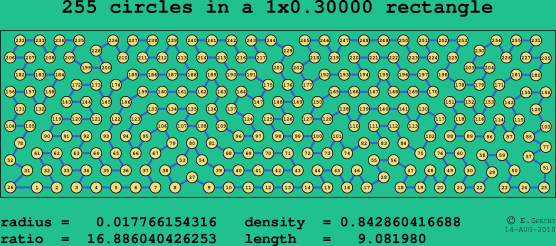 255 circles in a rectangle