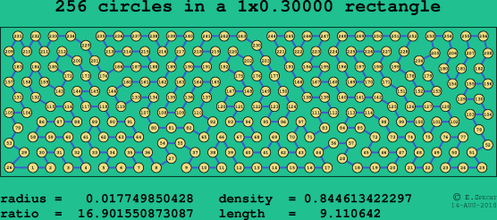 256 circles in a rectangle