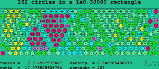 262 circles in a rectangle