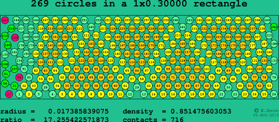 269 circles in a rectangle