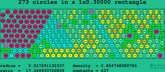 273 circles in a rectangle