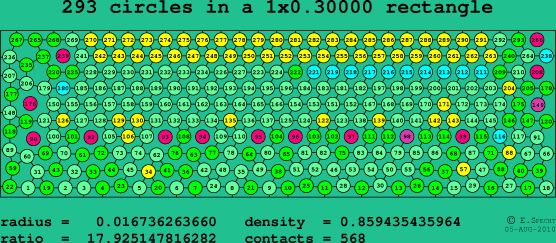 293 circles in a rectangle