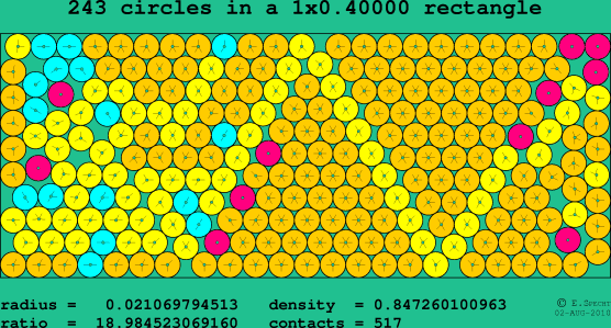 243 circles in a rectangle