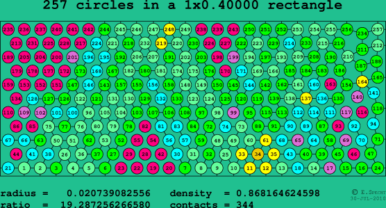 257 circles in a rectangle