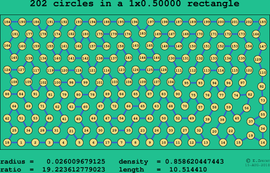 202 circles in a rectangle