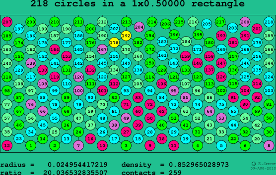 218 circles in a rectangle