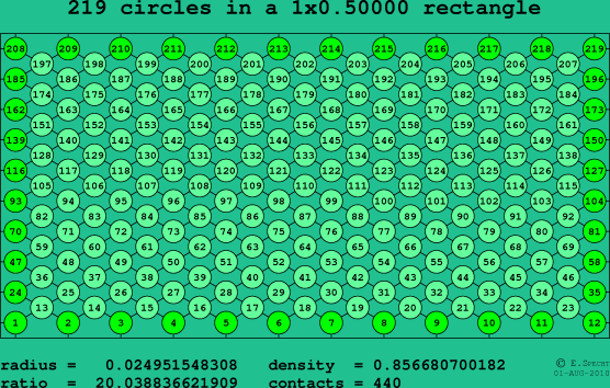 219 circles in a rectangle
