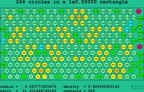 244 circles in a rectangle