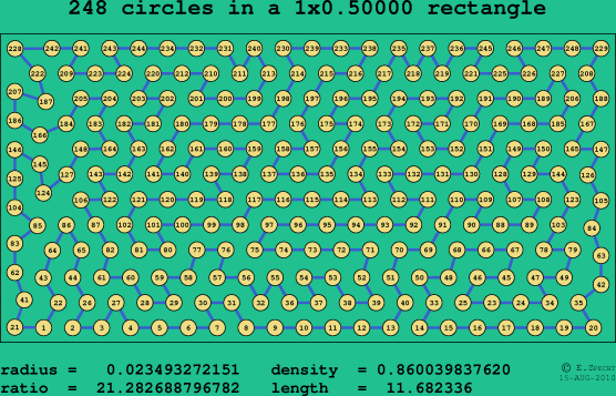 248 circles in a rectangle
