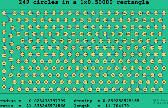 249 circles in a rectangle
