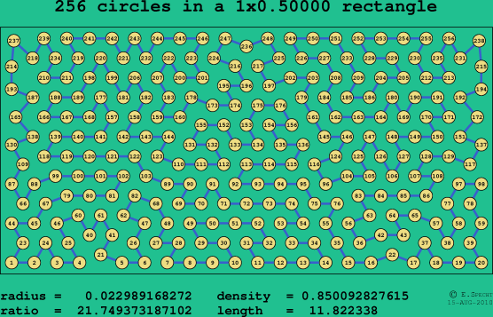 256 circles in a rectangle